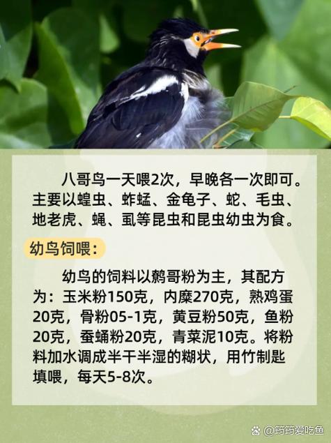 亚州少妇的相关介绍
