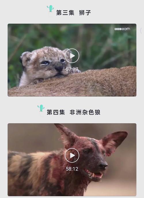 臣服在胯下的人妻少妇的相关介绍