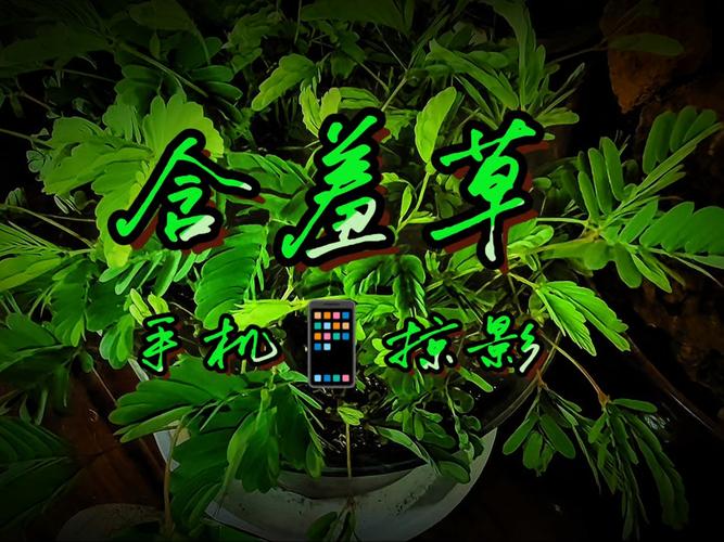 18岁以下禁止在线观看的相关介绍