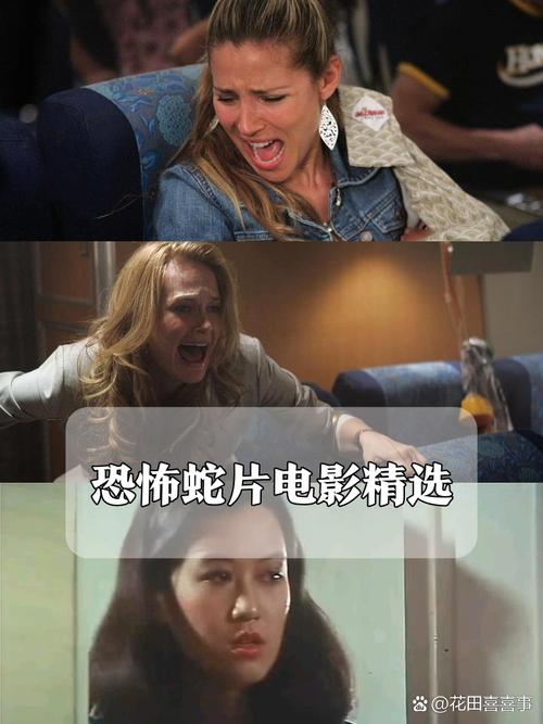 人妻少妇免费一区的相关介绍