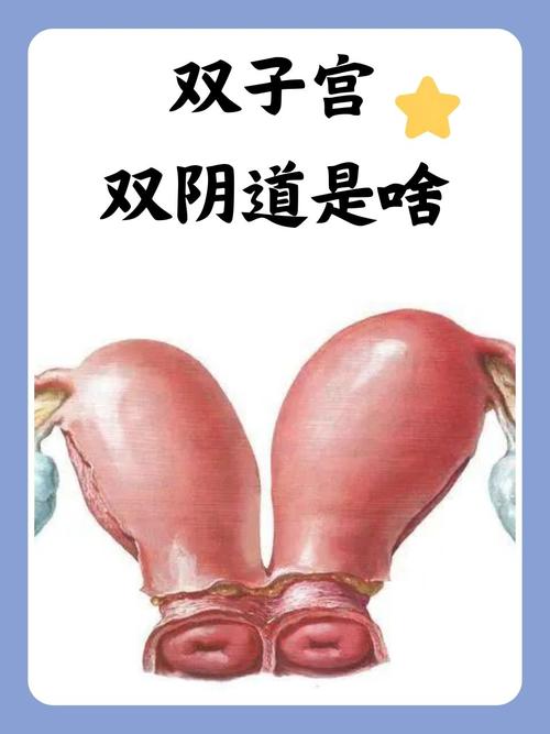 人妻按摩在线观看的相关介绍