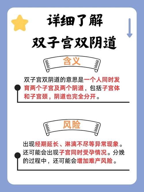 真人视频app下载的相关介绍